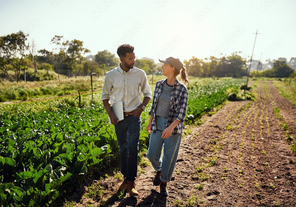 Boy and girl walking around the farm