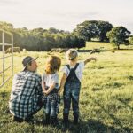 Essential Tips for Farm Care: Nurturing Your Private Farmstead