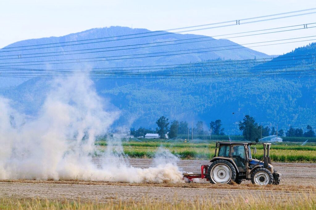 Tractor cleans the field