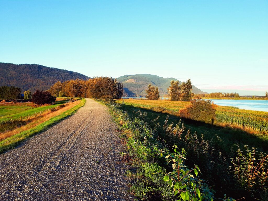 Road between farms
