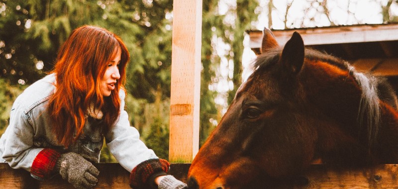 Girl feeding a horse from a boat
