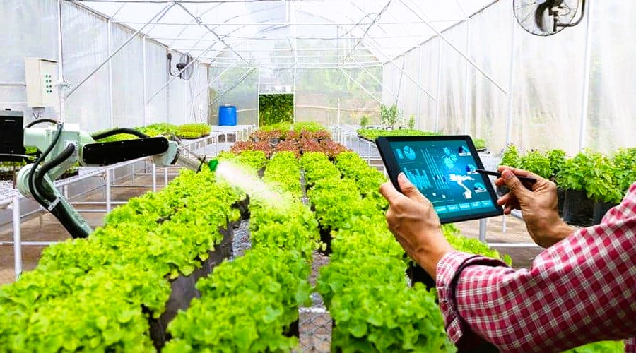 Greenhouse control from a tablet
