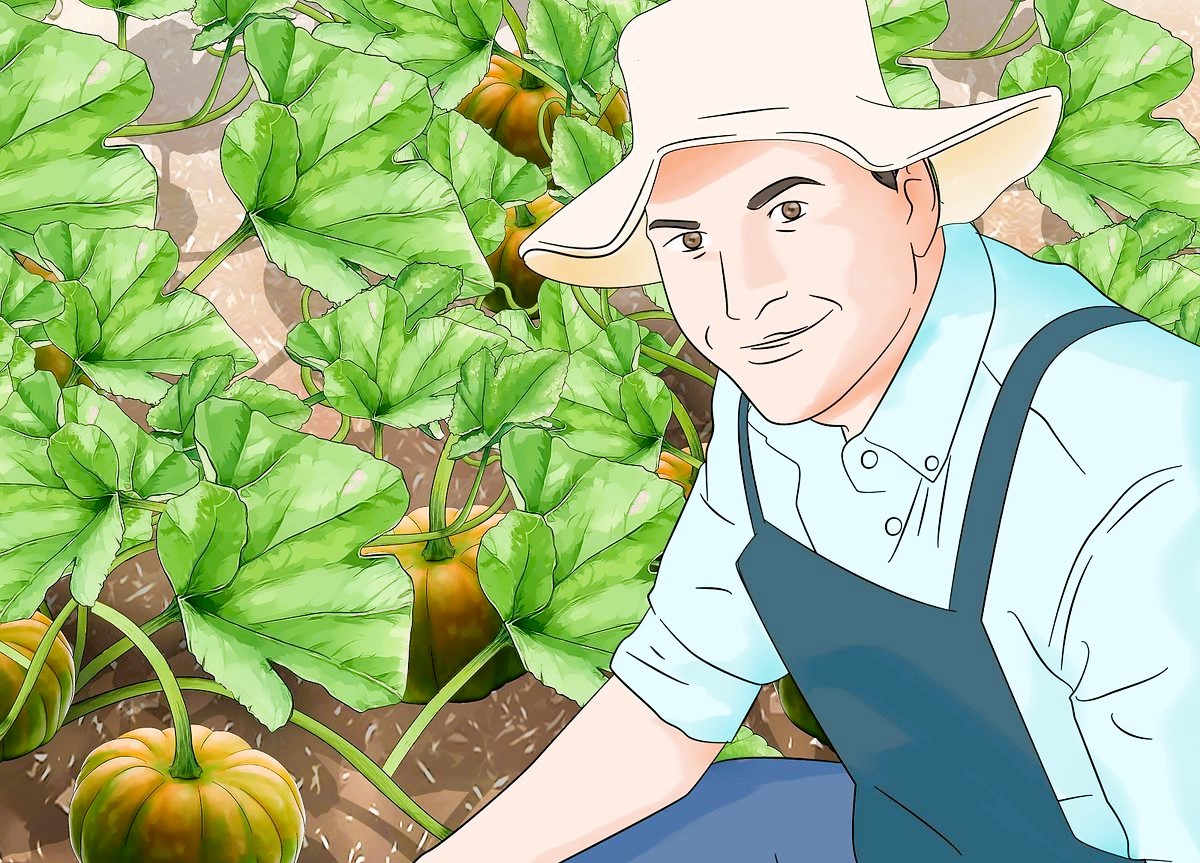 The Art of Managing a Private Farm: Expert Advice and Best Practices ...