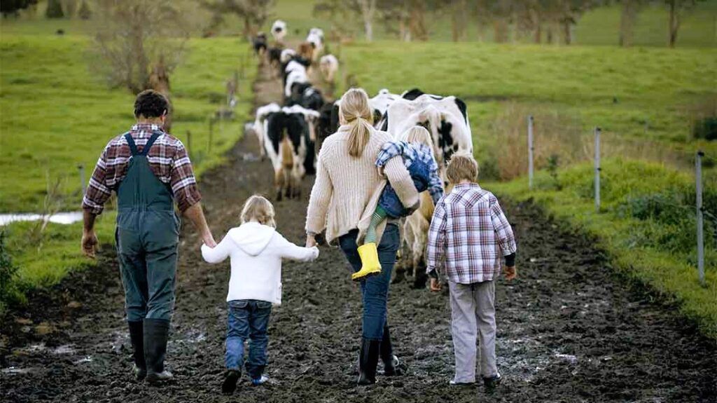 Family walking around the farm