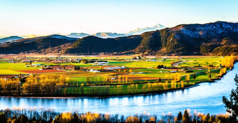 Protecting Biodiversity: Conservation Efforts on Abbotsford’s Farms